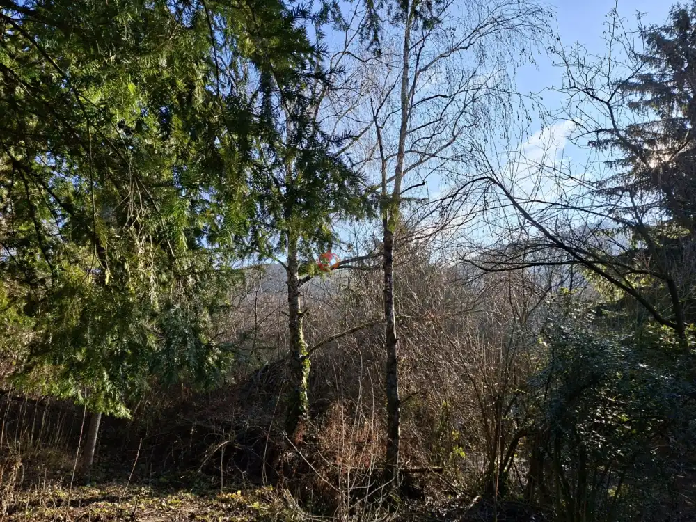 Pest megye - Budakeszi