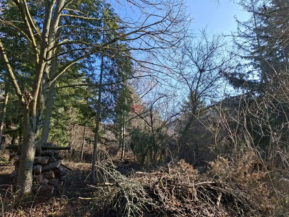 Pest megye - Budakeszi