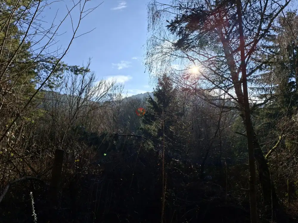 Pest megye - Budakeszi