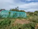 Pest megye - Ecser