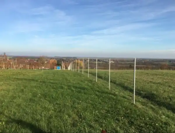 Eladó Üdülő, Gyöngyösfalu 1098 m² 4.8 M Ft