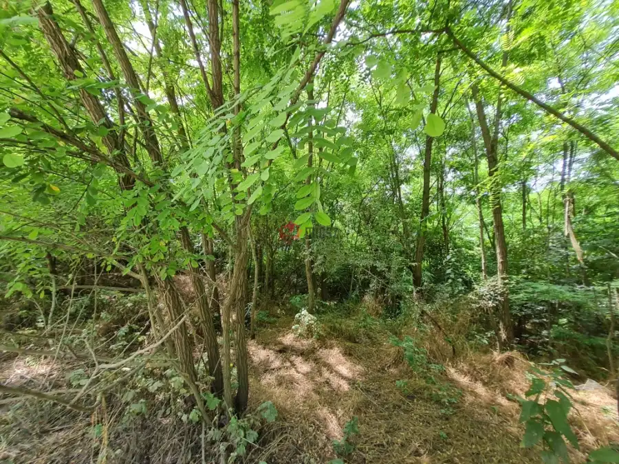 eladó  Üdülő, Isaszeg