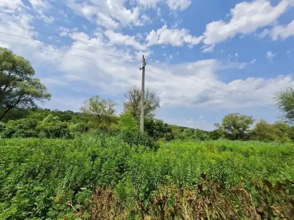 Eladó Üdülő, Isaszeg 3062 m² 15 M Ft