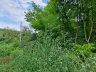 Pest megye - Isaszeg
