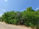 Pest megye - Isaszeg