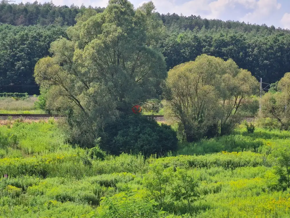 Pest megye - Isaszeg