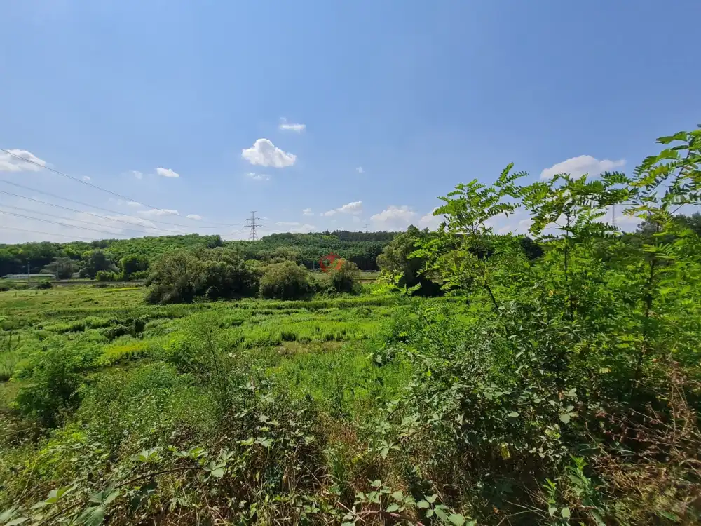 Pest megye - Isaszeg