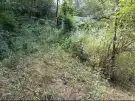 Pest megye - Isaszeg