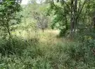 Pest megye - Isaszeg