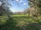 Somogy megye - Kaposvár