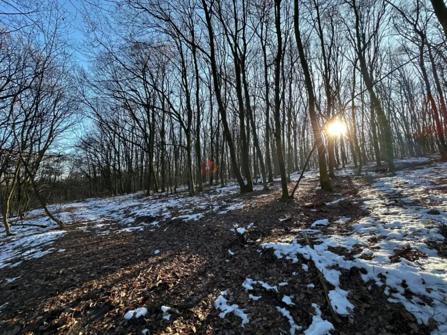 eladó  Üdülő, Kismaros