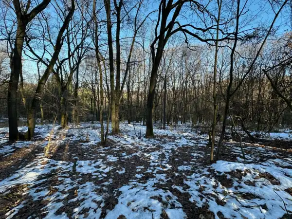 Eladó Üdülő, Kismaros 1191 m² 5.5 M Ft