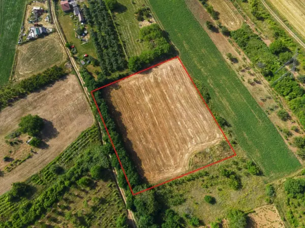 Eladó Üdülő, Kosd 6175 m² 12 M Ft