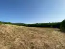 Pest megye - Kosd