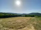 Pest megye - Kosd