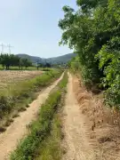 Pest megye - Kosd