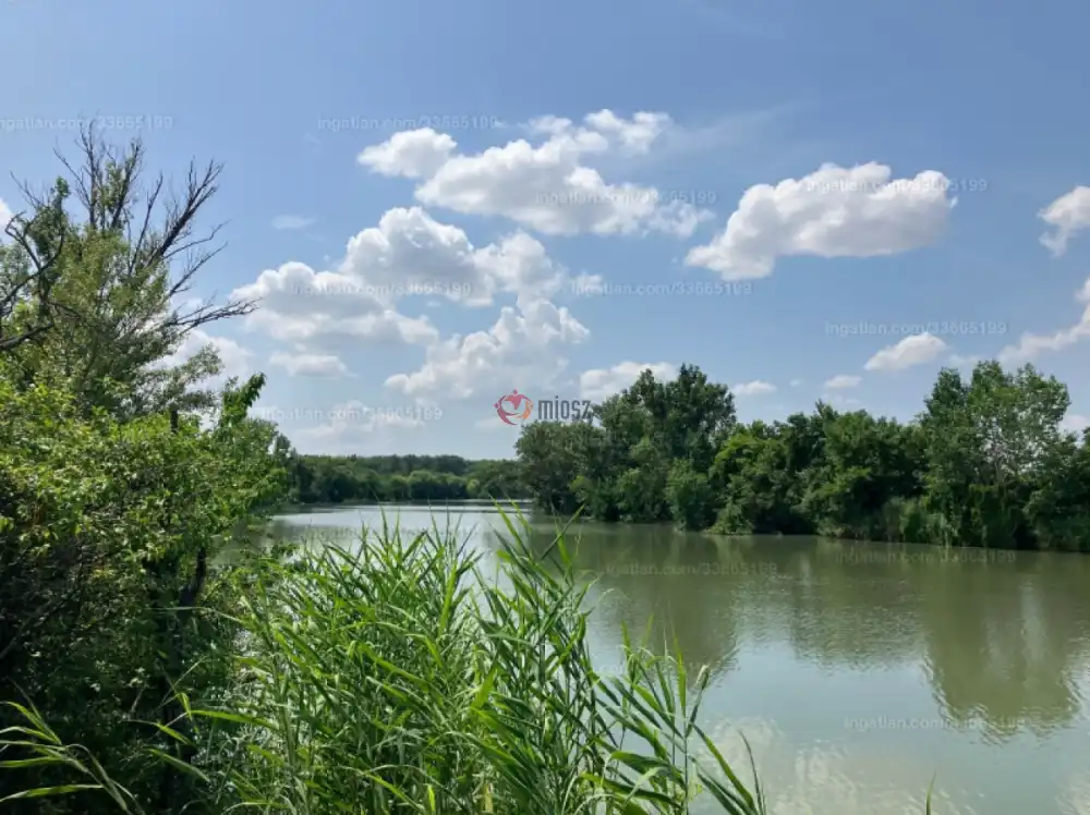 Jász-Nagykun-Szolnok megye - Mesterszállás