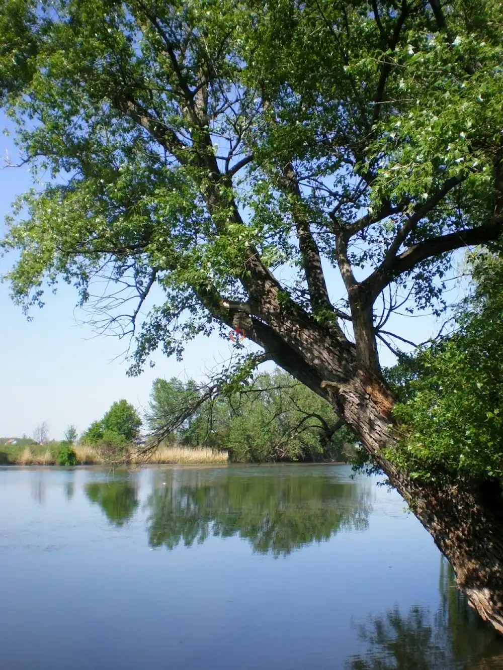 Jász-Nagykun-Szolnok megye - Mesterszállás