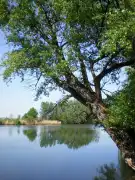 Jász-Nagykun-Szolnok megye - Mesterszállás