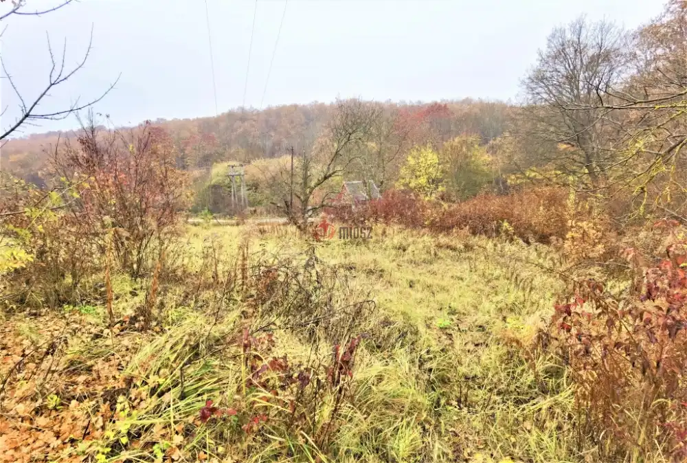 Borsod-Abaúj-Zemplén megye - Miskolc
