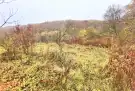 Borsod-Abaúj-Zemplén megye - Miskolc