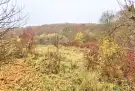Borsod-Abaúj-Zemplén megye - Miskolc