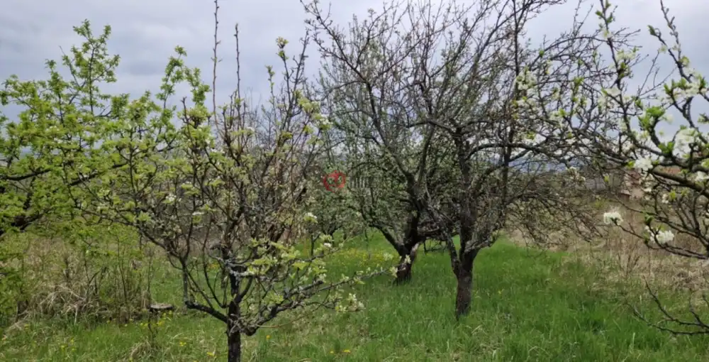Borsod-Abaúj-Zemplén megye - Miskolc