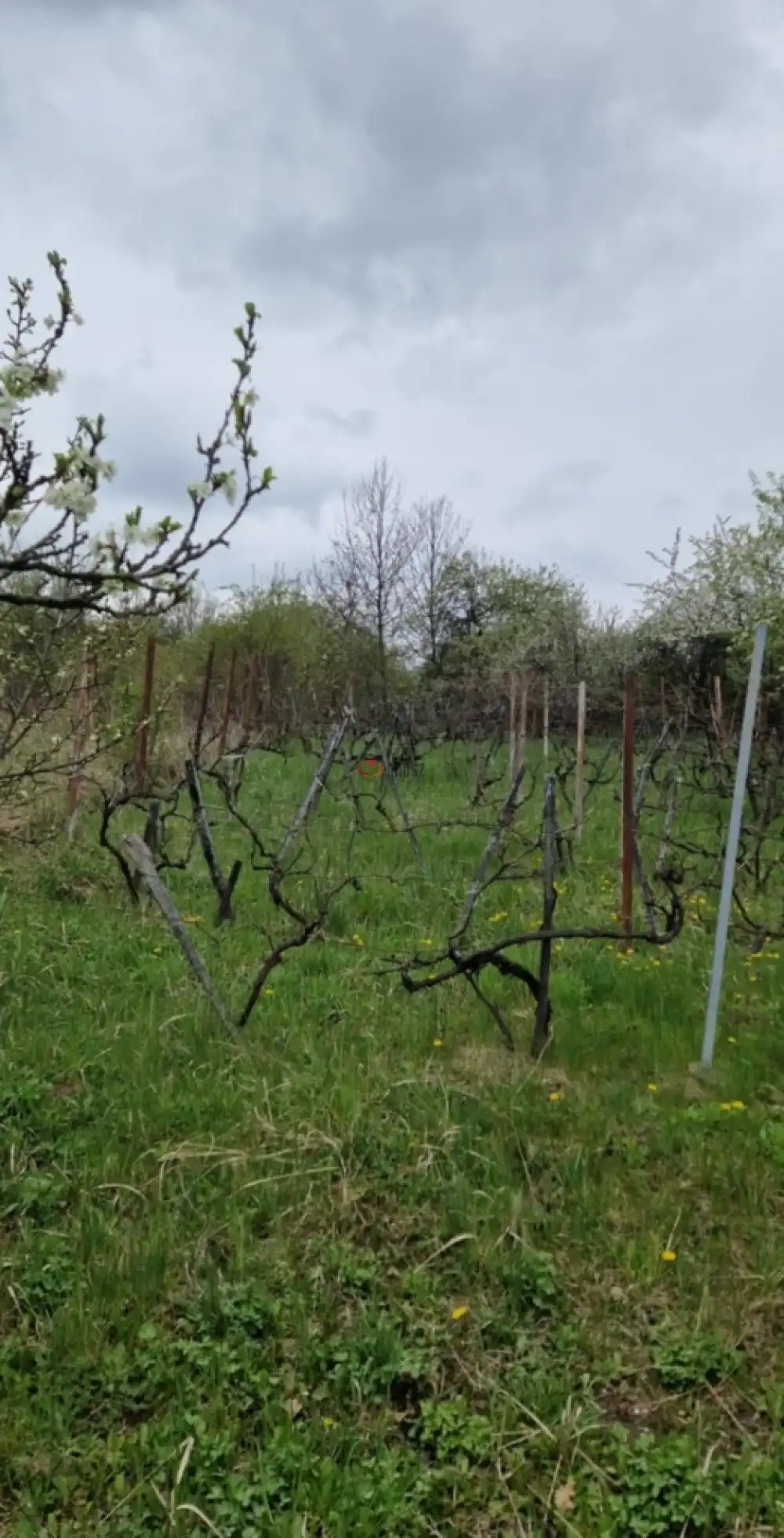 Borsod-Abaúj-Zemplén megye - Miskolc