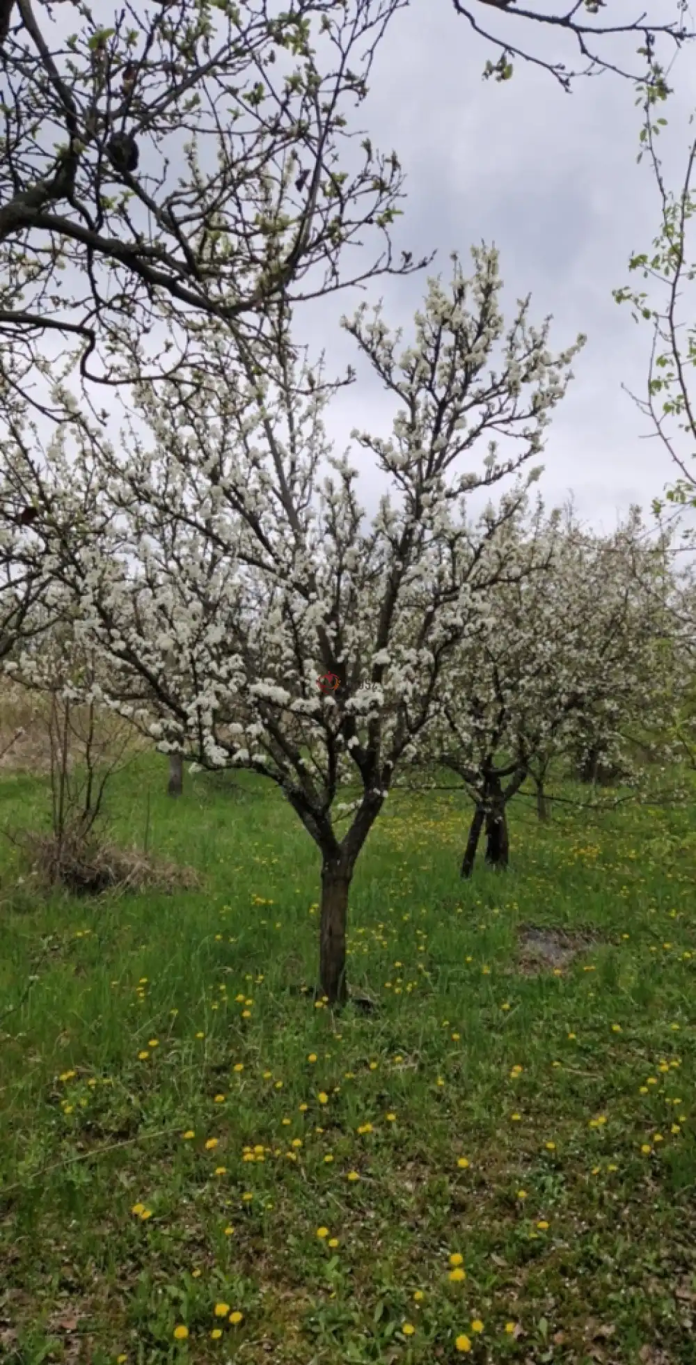 Borsod-Abaúj-Zemplén megye - Miskolc