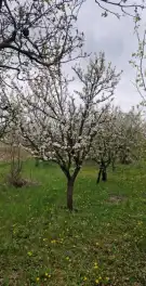 Borsod-Abaúj-Zemplén megye - Miskolc