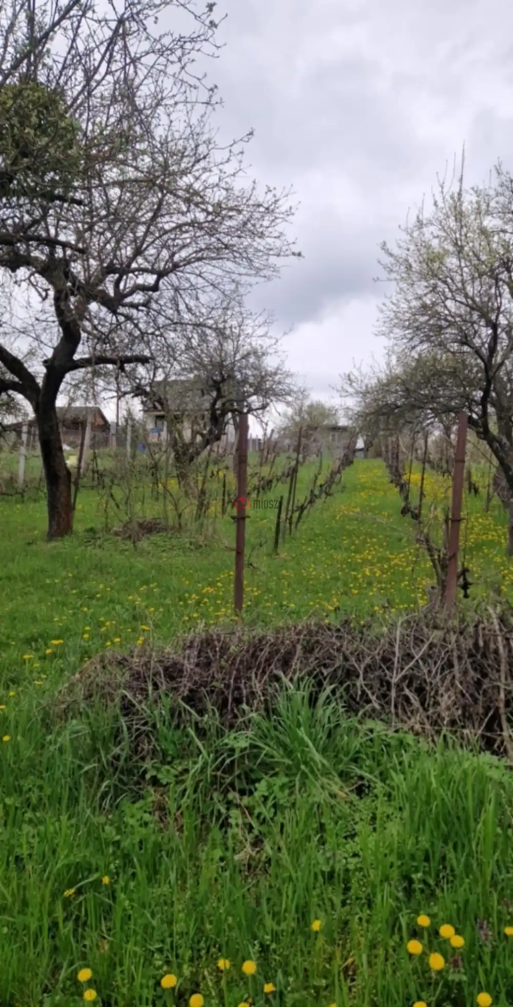 Borsod-Abaúj-Zemplén megye - Miskolc