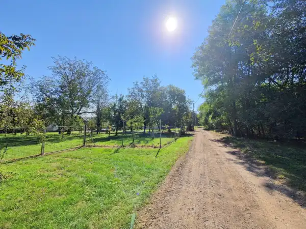 Eladó Üdülő, Nagykutas 5315 m² 3.5 M Ft