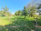 Zala megye - Nagykutas