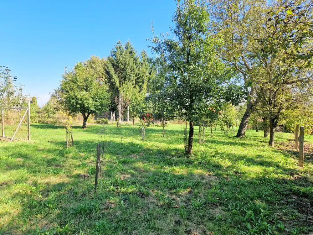 Zala megye - Nagykutas