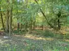 Zala megye - Nagykutas