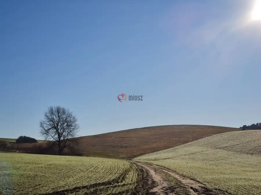 eladó  Üdülő, Pécel