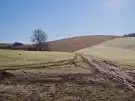 Pest megye - Pécel