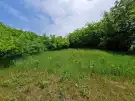 Pest megye - Pilis