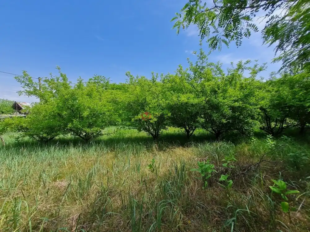 Pest megye - Pilis