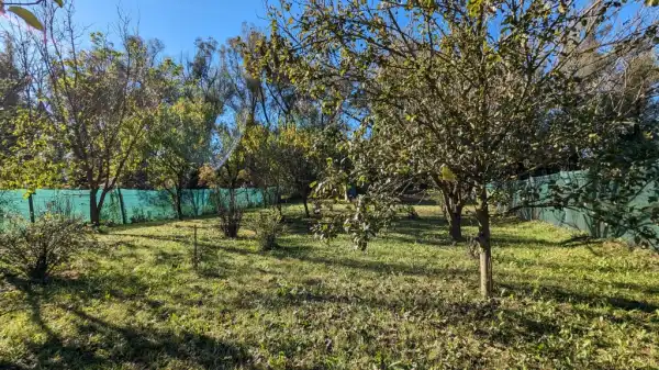 Eladó Üdülő, Pilisborosjenő 1159 m² 36.5 M Ft