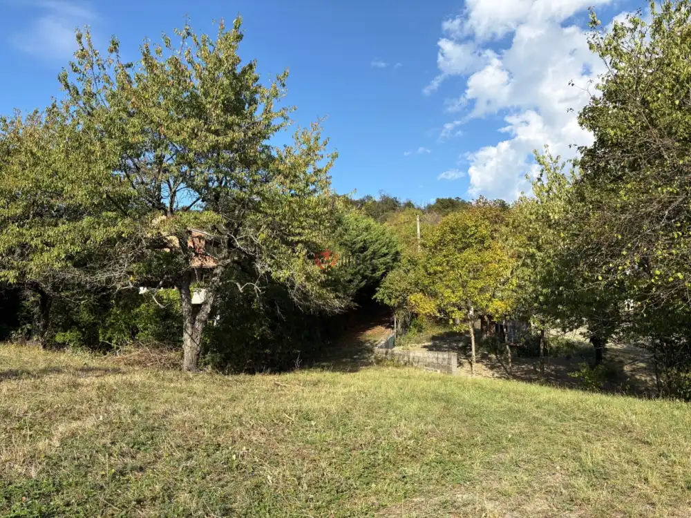 Pest megye - Szentendre