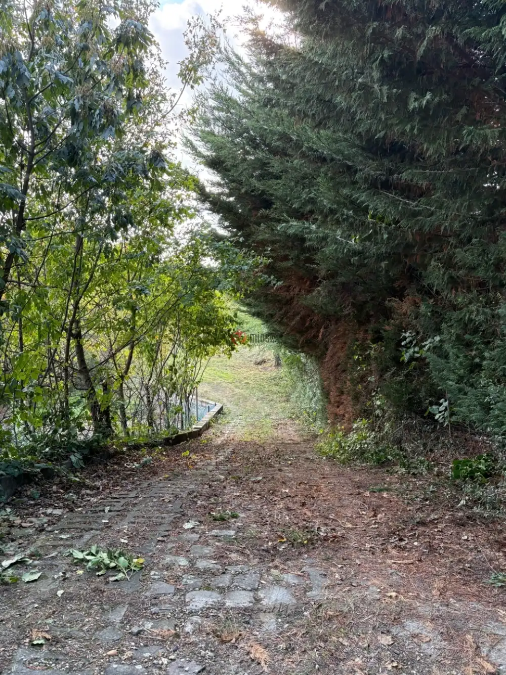 Pest megye - Szentendre