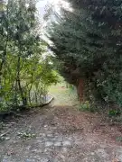 Pest megye - Szentendre