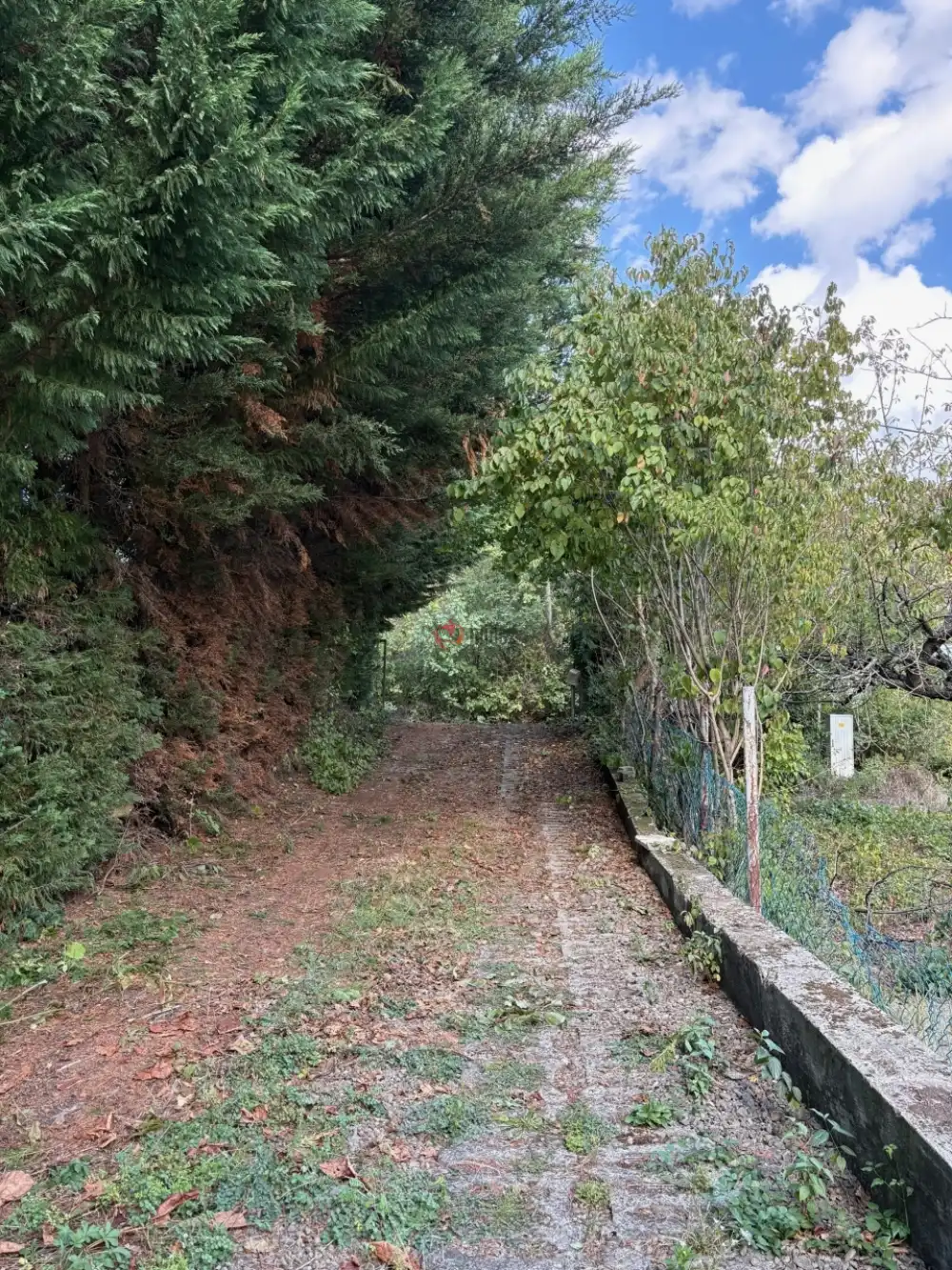 Pest megye - Szentendre