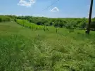 Pest megye - Tápiószecső