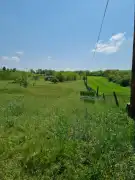 Pest megye - Tápiószecső