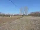 Pest megye - Tápiószecső