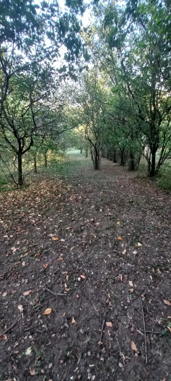 Eladó Üdülő, Tata 2550 m² 10.98 M Ft