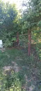Komárom-Esztergom megye - Tata
