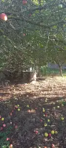 Komárom-Esztergom megye - Tata